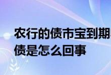 农行的债市宝到期收益 农行债市宝里面的国债是怎么回事
