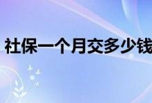 社保一个月交多少钱 社保交多久才能用医保 