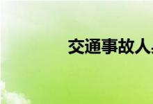  交通事故人身损害赔偿案例 
