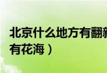 北京什么地方有翻新蚕丝被的（北京什么地方有花海）