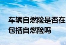 车辆自燃险是否在车辆损失险中 车辆损失险包括自燃险吗
