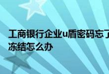工商银行企业u盾密码忘了怎么办 工商银行：U盾密码忘记/冻结怎么办