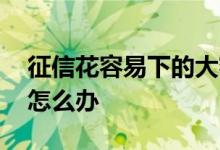 征信花容易下的大额 小额贷款太多征信花了怎么办