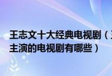 王志文十大经典电视剧（王志文演的电视剧哪个好看王志文主演的电视剧有哪些）