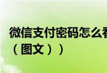 微信支付密码怎么看到（微信支付密码怎么改（图文））