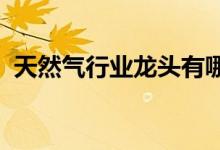 天然气行业龙头有哪些天然气行业股票一览