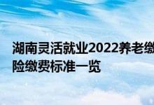 湖南灵活就业2022养老缴费标准 2022湖南灵活就业养老保险缴费标准一览 
