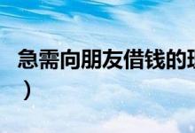 急需向朋友借钱的理由（一个急需借钱的理由）