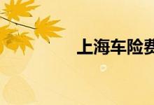 上海车险费率降价空间大