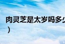 肉灵芝是太岁吗多少钱一斤（肉灵芝是什么梗）