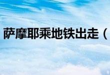 萨摩耶乘地铁出走（萨摩耶幼犬多少钱一只）