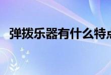 弹拨乐器有什么特点（弹拨乐器有哪几种）