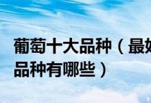 葡萄十大品种（最好吃的葡萄种类排名葡萄的品种有哪些）