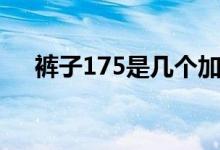 裤子175是几个加（裤子175是多大码）