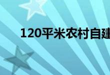  120平米农村自建房图纸建议大方实用 
