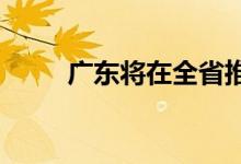 广东将在全省推车险服务质量评级