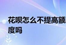 花呗怎么不提高额度呢 花呗不消费会提升额度吗