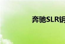 奔驰SLR钥匙怎么换电池 
