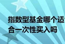 指数型基金哪个适合长期持有 指数型基金适合一次性买入吗