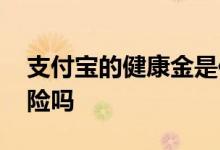 支付宝的健康金是保险吗 支付宝健康金是保险吗