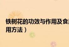 铁树花的功效与作用及食用方法（铁树花的功效与作用及食用方法）