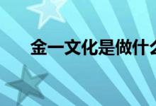金一文化是做什么的（属于什么板块）