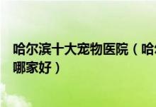 哈尔滨十大宠物医院（哈尔滨宠物医院排名哈尔滨动物医院哪家好）