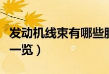 发动机线束有哪些股票（发动机线束概念股票一览）