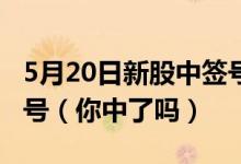 5月20日新股中签号查询：和辉光电公布中签号（你中了吗）
