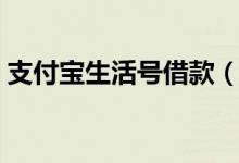 支付宝生活号借款（支付宝生活号借钱平台）