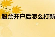 股票开户后怎么打新股 股票开户后怎么登陆 
