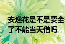 安逸花是不是要全部还完才能再借 安逸花还了不能当天借吗