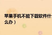 苹果手机不能下载软件什么情况（苹果手机不能下载软件怎么办）