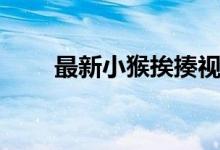 最新小猴挨揍视频（最新小贷口子）