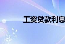 工资贷款利息多少（工资贷款）
