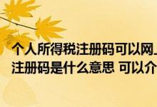 个人所得税注册码可以网上获取吗 请问各位个人所得税大厅注册码是什么意思 可以介绍一下吗