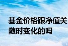 基金价格跟净值关系 基金的净值在交易日是随时变化的吗