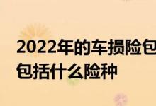 2022年的车损险包括哪些险种 现在车损险都包括什么险种