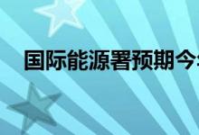 国际能源署预期今年天然气消费小幅减少