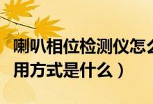 喇叭相位检测仪怎么使用（汽车喇叭相位仪使用方式是什么）