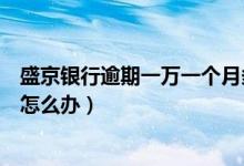 盛京银行逾期一万一个月多少钱（盛京银行信用卡逾期以后怎么办）