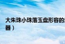 大朱珠小珠落玉盘形容的乐器（大朱小珠落玉盘形容那种乐器）