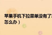 苹果手机下拉菜单没有了怎么办（苹果手机下拉菜单没有了怎么办）