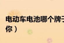电动车电池哪个牌子好（最优质的品牌推荐给你）