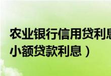 农业银行信用贷利息是多少（农业银行信用卡小额贷款利息）