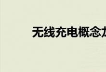 无线充电概念龙头股票有哪些（）