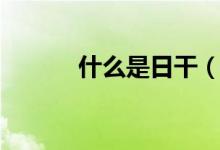 什么是日干（什么是日食现象）