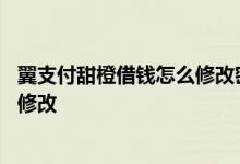 翼支付甜橙借钱怎么修改密码 翼支付甜橙借钱支付密码怎么修改