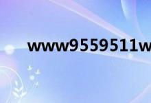 www9559511ww（www95599cn）