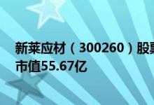 新莱应材（300260）股票得到机构给予的“买入”评级其市值55.67亿